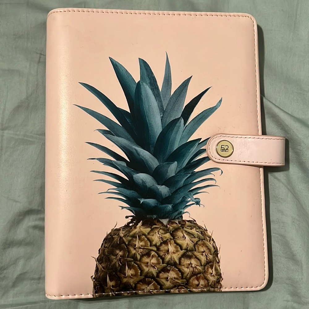 Pineapple reusable planner WITHOUT fill in